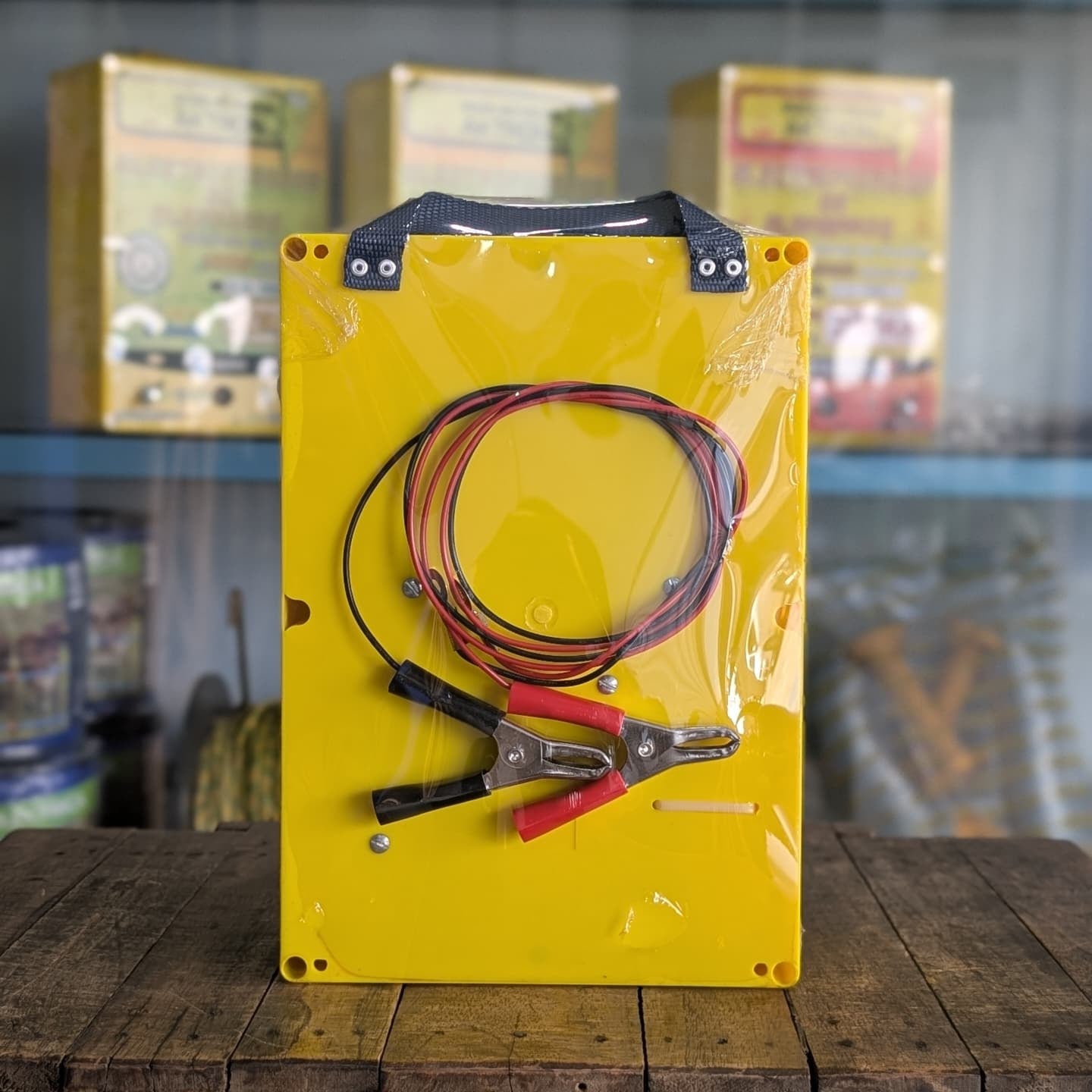 Energizador AKTRON 12V-200km