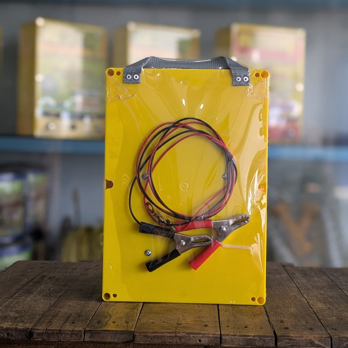 Energizador AKTRON 12V-40km