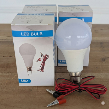 Bombillo LED 12V - 12W tipo Pera/Cable
